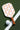 Paddle_with_checkered_pattern_and_white_ball_on_a_green_surface - Pulse Pickleball