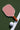 Pulse_Pickleball_Cherry_Beginner_FIbreglass_Paddle - Pulse Pickleball