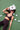 Woman lying on a green surface with pickleball equipment around her